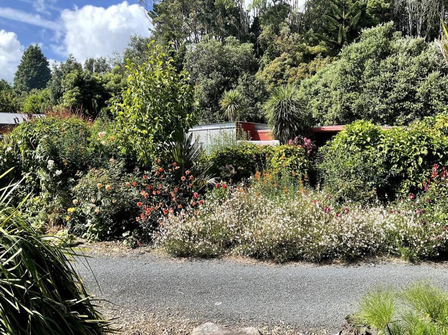 Oakura Pond Cottage - A Unique Kiwi Holiday Bach Buitenkant foto