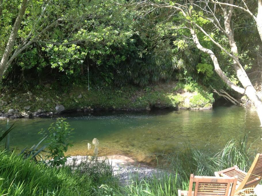 Oakura Pond Cottage - A Unique Kiwi Holiday Bach Buitenkant foto